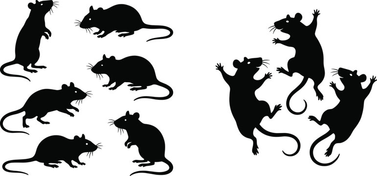 Rat silhouette vector set with active poses jumping standing rodents black animal icon collection isolated