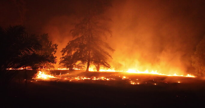 Wildfire burning forest at night, casting an orange glow across the dark landscape and creating thick smoke, representing an ecological disaster and climate change impact. Drone flight zoom in