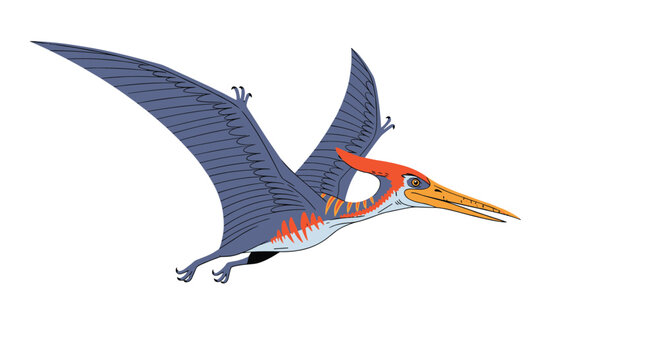 Majestic pterodactyl dinosaur with large wings and a long beak flying through the air in a prehistoric landscape.