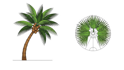 Obraz premium 2D AutoCAD drawing of a palm tree and its illustration
