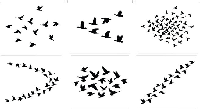 Flying Bird