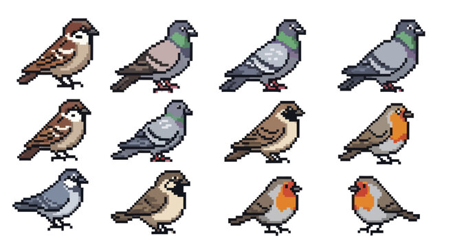 Collection of Pixel Art Birds Sparrow Pigeon Robin.