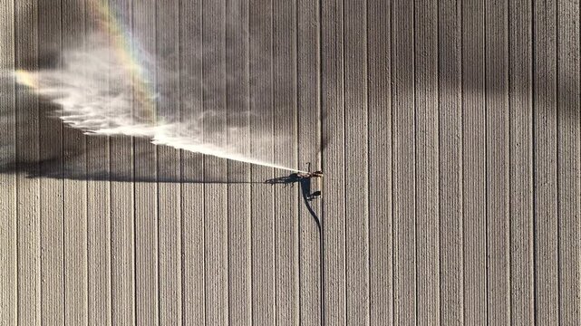 Agricultural irrigation pivot gun spraying water on a field of tulips during springtime aerial footage.