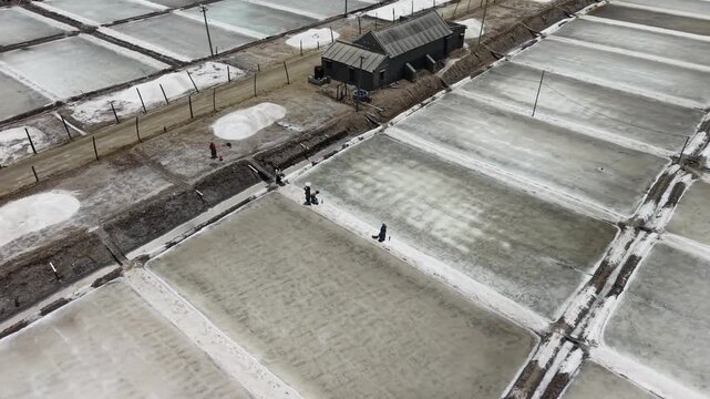 Aerial Zoom Into Workers Loading Salt From Salt Pans Coastal Production