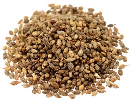 Ambrette Seed (Hibiscus abelmoschus)