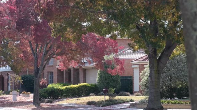 A peaceful residential street featuring family homes with leafy deciduous trees in autumn. A quiet suburban neighborhood with established tree shade and fallen leaves in Melbourne Australia