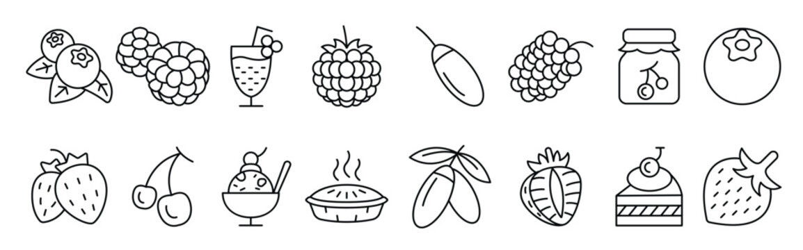 Berries icon set in thin line style vector 