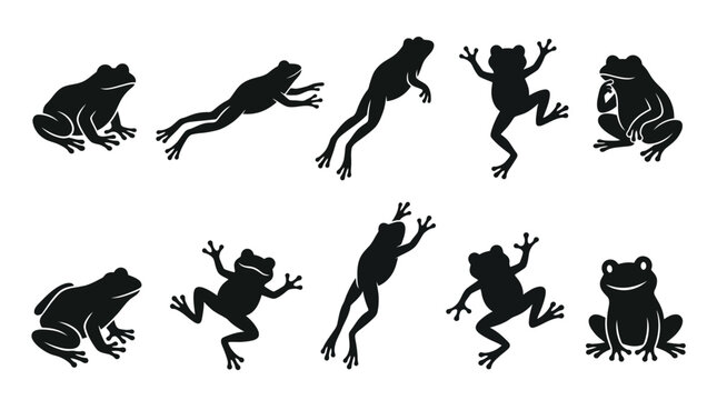 A set of vector silhouette icons depicting frogs in various poses and actions on a white background for design use.