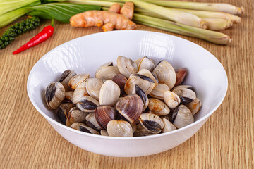 Raw fresh wild clams mollusc © Andrei Starostin