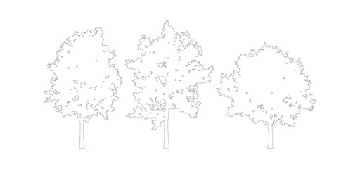 Vector illustration of a tree with a world map and globe design representing global geography and international business across continents from America to Europe © Mk
