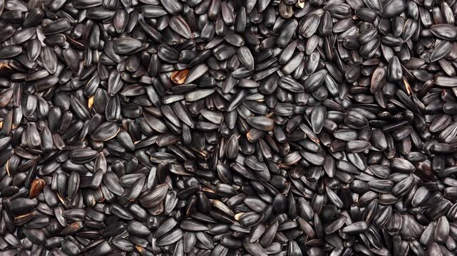 Macro panning shot over pile of black sunflower seeds