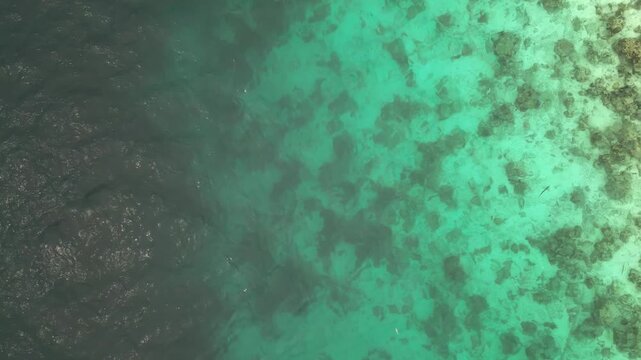 Top Down Descending View on Tropical Beach Water 4k drone