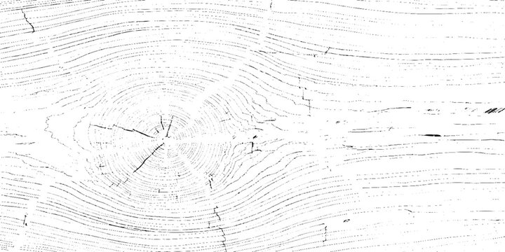 Vector illustration of a wooden texture with grunge effect visible on a white background for design and decoration