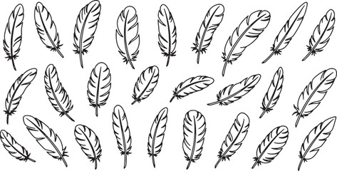 Obraz premium collection of hand drawn bird feathers in flat design vector illustration
