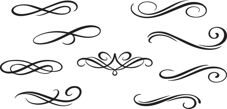 Elegant decorative swirls and flourishes design illustration Vector