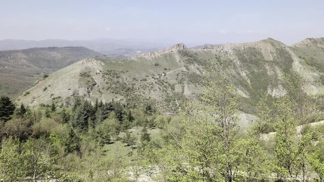 Panorama montano con colline verdi, crinali rocciosi e vegetazione fitta in primo piano sotto un cielo limpido. Atmosfera naturale e incontaminata