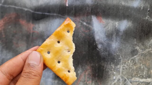 Hand Holding Crispy Sugar Malkist Cracker Premium Crunchy Savory Biscuit for Commercial Use