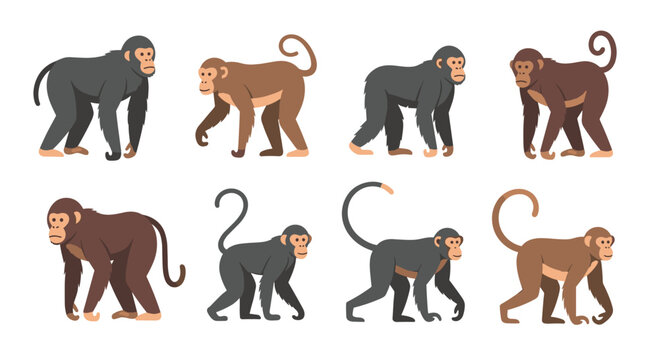 A collection of eight diverse cartoon monkeys shown standing and walking against a white backdrop, showcasing different fur colors and poses.
