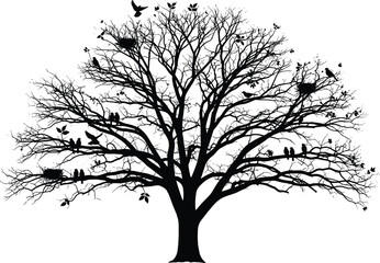 Detailed Black Silhouette Bare Oak Tree with Birds and Branches for Nature, Gothic, and Decorative Illustration DesignsDetailed Black Silhouette Bare Oak Tree with Birds and Branches for Nature, © MdMonirul