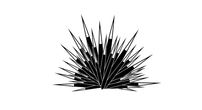 Abstract black and white spiky sea urchin vector silhouette
