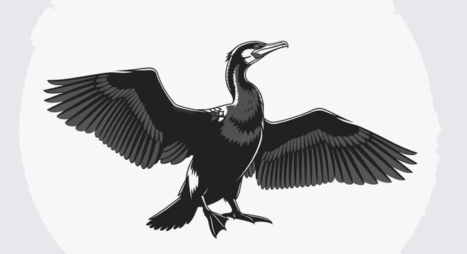 Black and white cormorant bird with open wings illustration