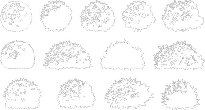 Minimalist landscape architecture symbols, collection of 13 line art bushes and shrubs, architectural plan view vegetation icons for site mapping