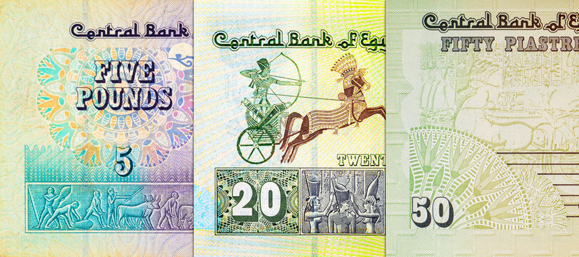 Egyptian Pound banknotes. Macro shot of various denominations of Egyptian currency. African money.