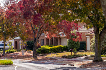 Fototapeta premium Autumn street in Hoppers Crossing suburban Melbourne Australia featuring family homes surrounded by mature deciduous trees displaying vibrant foliage. Fallen leaves carpet the front lawn and footpath