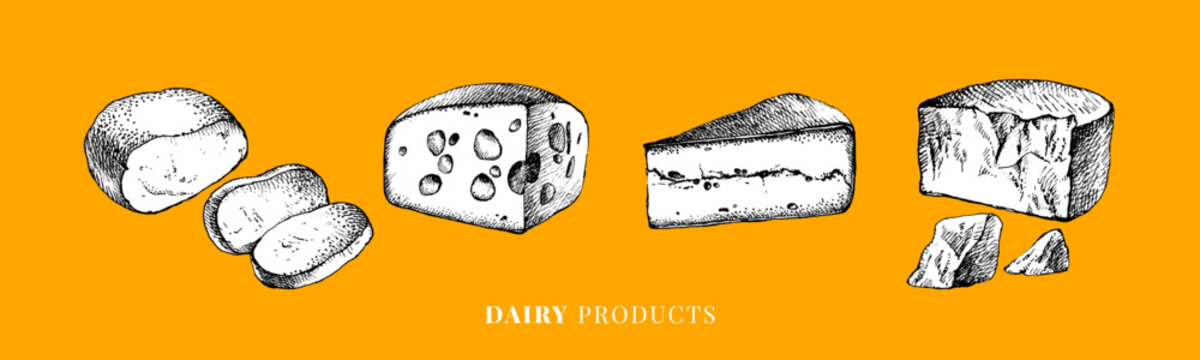 Hand drawn sketch cheese types set. Vector illustration of natural foods. Vintage sticker design elements