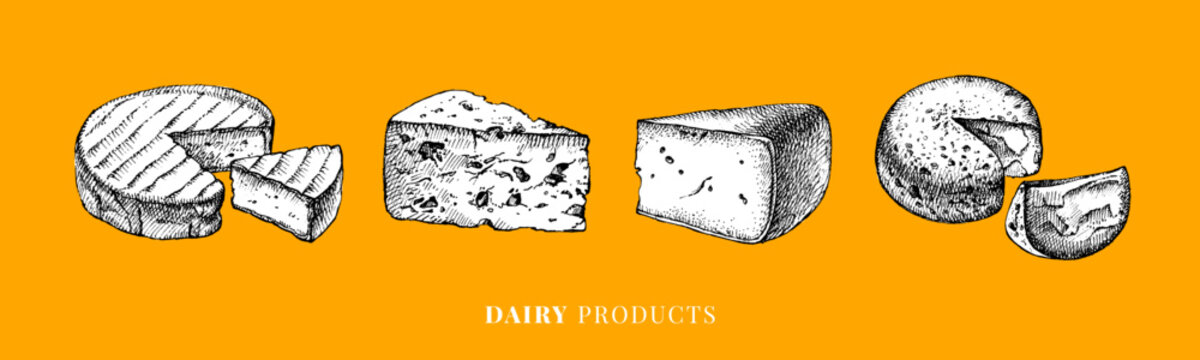 Hand drawn sketch cheese types set. Vector illustration of natural foods. Vintage sticker design elements