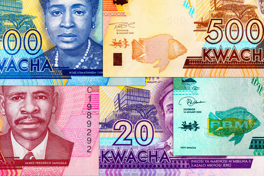 Malawian Kwacha banknotes (MWK) featuring various denominations. Malawi national currency. Money of Africa