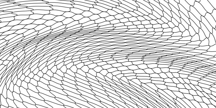 Net texture pattern on white background. Net texture pattern for backdrop and wallpaper. Realistic net pattern with black squares. Geometric background, vector illustration