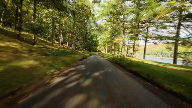 Road running through bright forest beside calm lake under sunlight POV. Path leading between tall green trees showing sense of freedom and distance first person view. Highway traveling across scenic