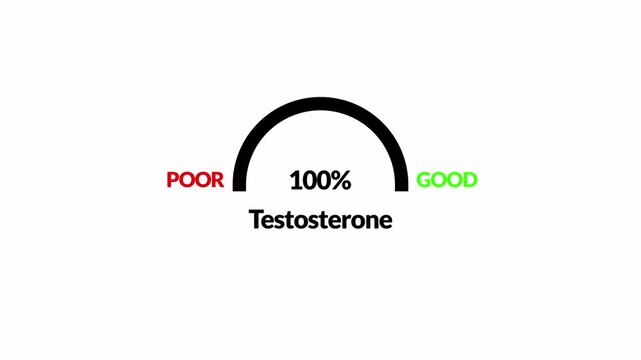 Testosterone level metering animation  in 4K animation Testosterone Level Meter, measuring scale. with alpha channel  Hormone Testosterone speedometer indicator in transparent background 