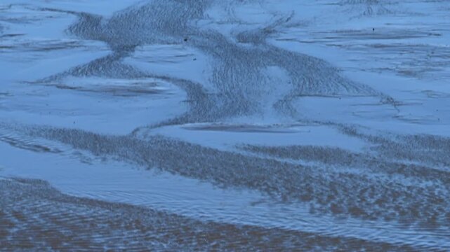 Water flowing on tidal sandflats in the Waddensea nature reserve in Frielsand The Netherlands