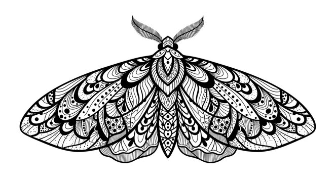 Intricate black and white mandala moth illustration on white background