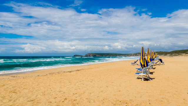 Panoramic view of sandy Torre dei Corsari beach with sun umbrellas and loungers on a sunny day, western Sardinia Island, Italy