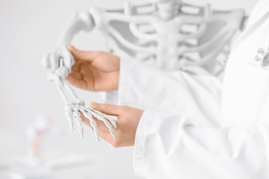 Female doctor examining hand of human skeleton model in clinic, closeup