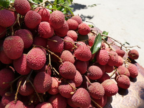 Bunch of lychees, freshly harvested in christmas holidays in La Reunion island. Tropical fruits in local market. Litchi chinensis