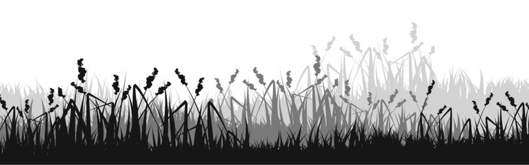 Naklejka premium Meadow silhouette with grass, plants on plain. Panoramic summer lawn landscape with herbs, various weeds. Herbal border, frame element. Black horizontal banners. Vector illustration