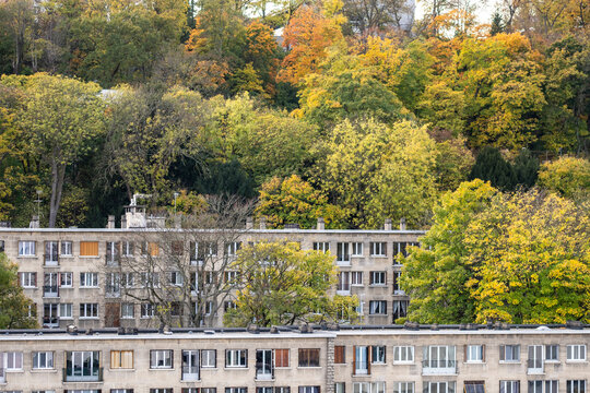 Residential apartment blocks sit below hillside trees as autumn greenery colors an urban neighborhood landscape with architecture and calm city view