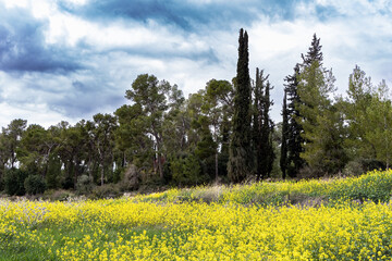 Israel. Early spring, © Kushnirov Avraham
