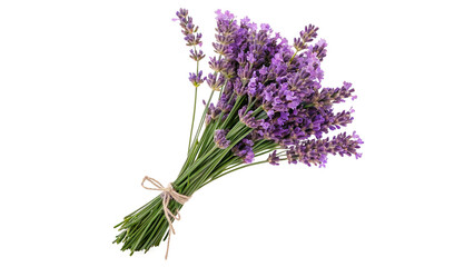 Lavender bouquet held together with twine showing bright purple flowers and green stems in a simple arrangement isolated on transparent background cut out © AAAstock2025