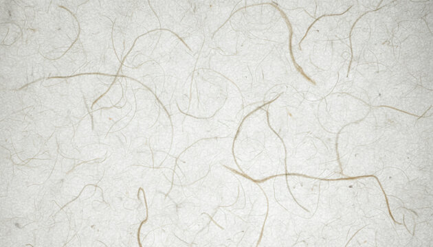 Handmade Japanese Washi paper texture with visible organic Kozo fibers