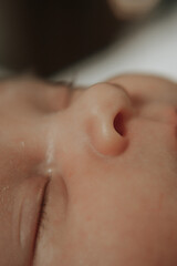 Naklejka premium baby's nose in close-up, macro photography, newborn's face
