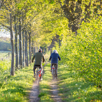 couple on bicycle on dirt road between spring trees in the netherlands