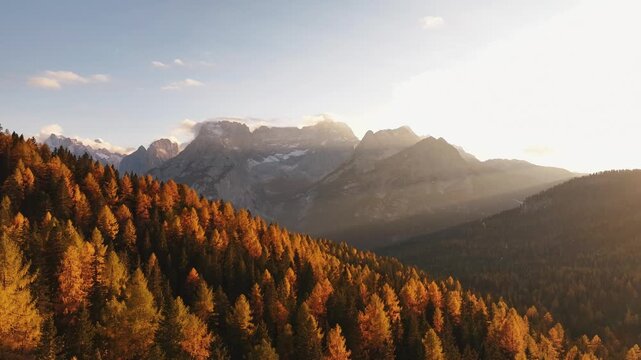 Scenic aerial view of fiery autumn colours in an alpine forest. Drone view of the Dolomites in the fall, Cortina d Ampezzo valley in autumn