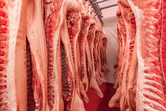 Carne macellata in cella frigo