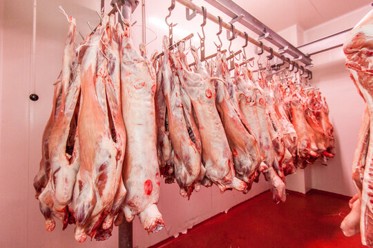 Carne macellata in cella frigo