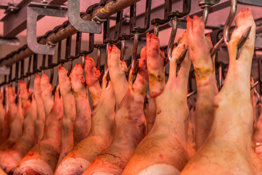 Carne in cella frigo